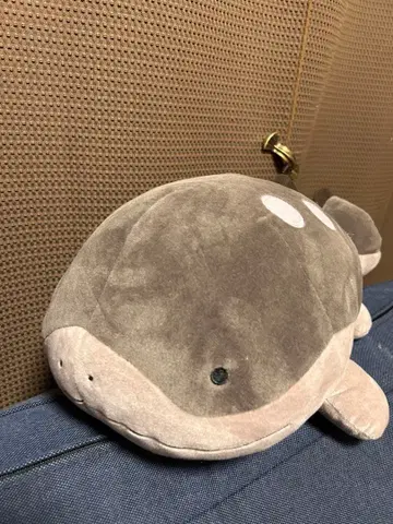 포켓몬 도오 봉제 인형