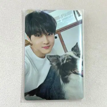 ENHYPEN 설문 트레이딩 카드 정원