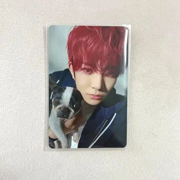 ENHYPEN 설문 트레이딩 카드 희승