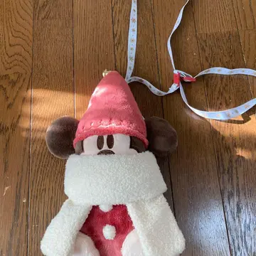 릴린린 미니백 2025 디즈니랜드