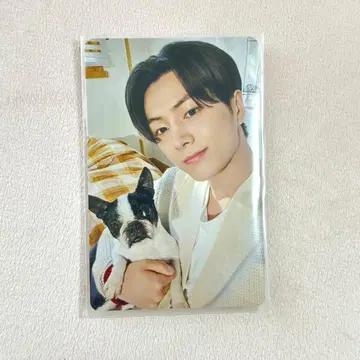 ENHYPEN 설문 트레이딩 카드 제이