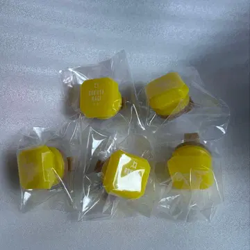 로쿠야 나기 링 라이트