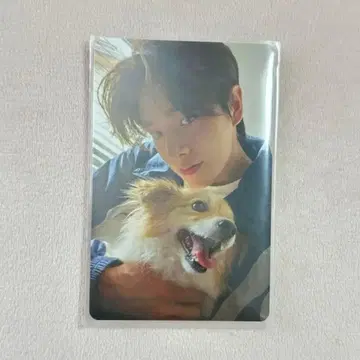 ENHYPEN 설문 트레이딩 카드 제이크