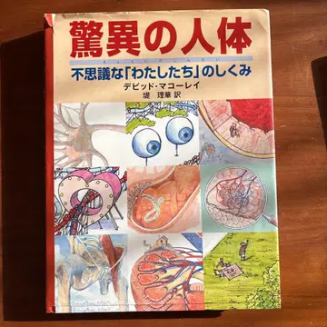 경이로운 인체 - 데이비드 매컬레이 저