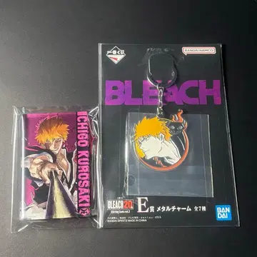 쿠로사키 이치고 아크릴 블록 메탈 참