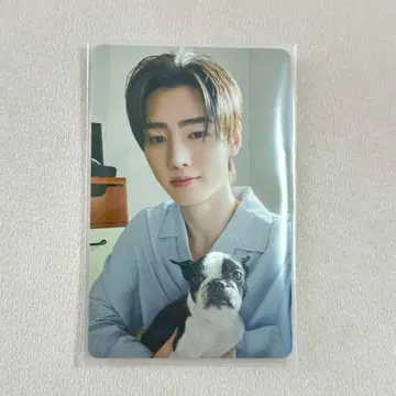 ENHYPEN 설문 트레이딩 카드 성훈