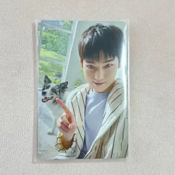 ENHYPEN 설문 트레이딩 카드 선우