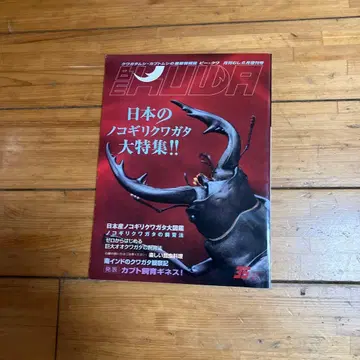 일본의 넓적사슴벌레 대특집호