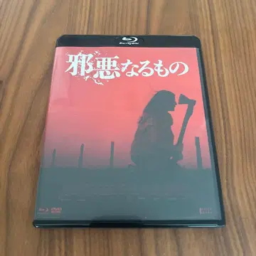 사악한 것 블루레이 호러 영화 서양화 셀판 영화 악마 호러