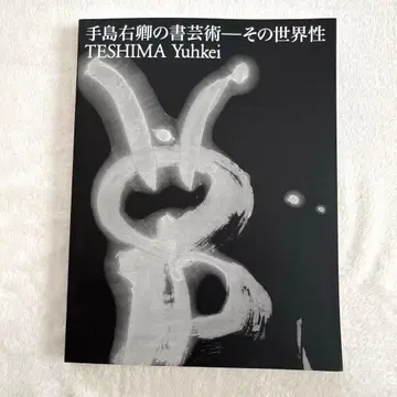 테시마 우쿄의 서예 예술