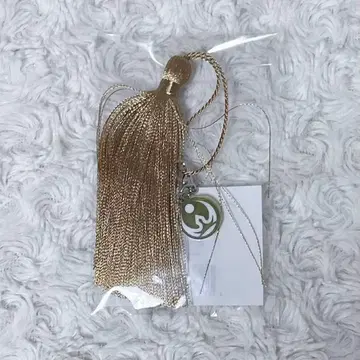 시쿠포니 미코토 태슬 참 설날