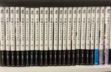 문호 스트레이독스 코믹스 1-23권