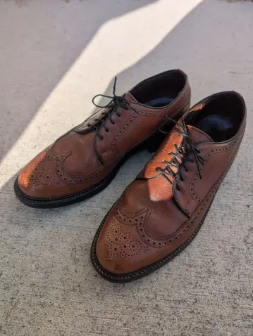 프렌치 슈라이너 윙팁