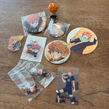 히나타 쇼요 굿즈 세트