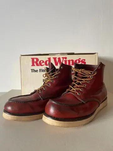 Red Wings 875