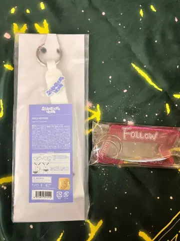 [ 완전 미사용 ] SEVENTEEN 키링&카라비너