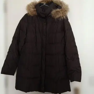 여성용 브라운 다운 코트 15호 무릎 위