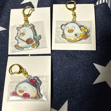 엘리자베스 별자리 아크링 키링 모음