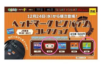 JR 도카이 특급 급행 헤드 마크 핀 배지 컬렉션 급행 도카이 특급 난키