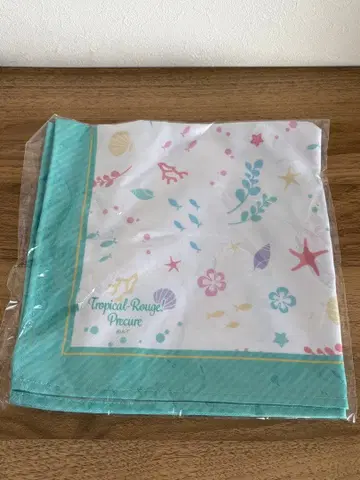 트로피컬~주! 프리큐어 런치 매트