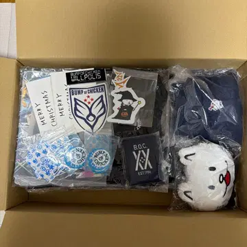 BUMP OF CHICKEN 굿즈 14점