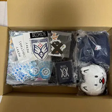 BUMP OF CHICKEN 굿즈 13점