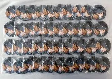 미코토 로디아스 등신 캔뱃지 40점