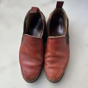 레드윙 로메오 8145