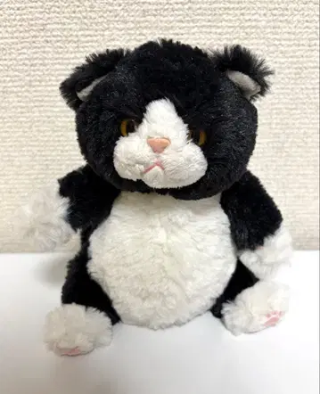 무릎 고양이 앉아 키즈 하치와레 Sanlemon