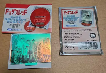 도그 스레드 오로라 아크릴 스탠드 컬렉션