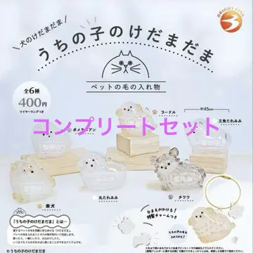 우리 아이 털뭉치 강아지 털뭉치 컴플리트 세트