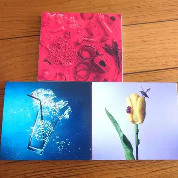 아이묭 청춘의 - 맛있는 파스타 - 순간적 - CD