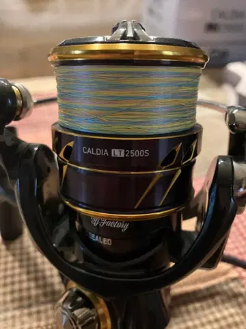 다이와 21 칼디아 LT2500S