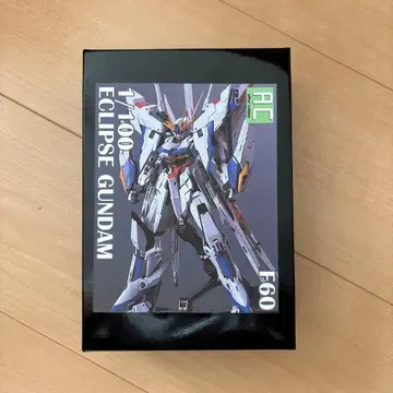 Eclipse Gundam 1/100 개조 레진 키트