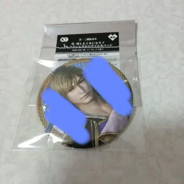 진 삼국무쌍 8 돌아오지 않았으면 하는 대사 트레이딩 캔뱃지 곽가