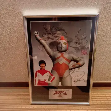 울트라맨 80 율리안&별 료코 역 하기와라 사요코 씨 친필 사인 패널