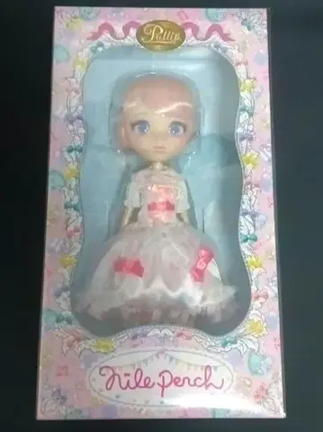 풀립 피피필리아