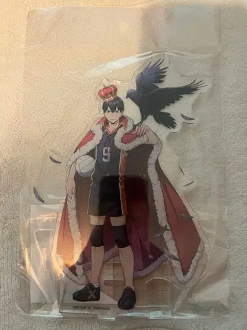 하이큐! touch the dream 아크릴 스탠드 카게야마