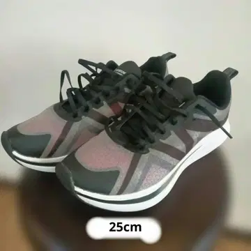 워크맨 하이 바운스 오버 드라이브 카본 25.0