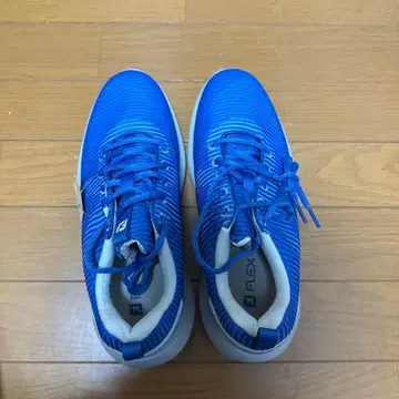 FJ 골프화 JPN 25 / USA 7