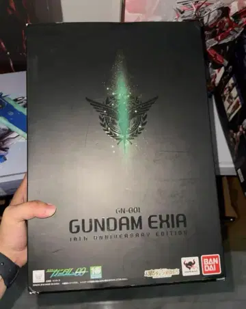 METALBUILD 건담 엑시아 10주년