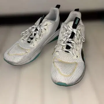 26cm PUMA LQDCELL TENSION 루이스 해밀턴 모델