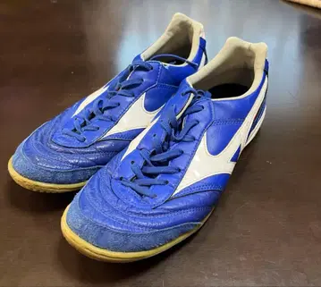 MIZUNO 모렐리아 인 블루