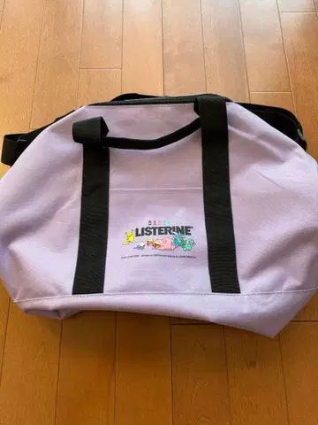 포켓몬 보스턴 백