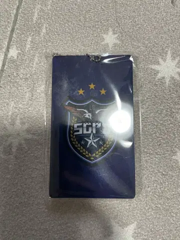 스트그라 SGPD PUS 패스 케이스