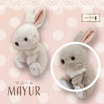 몽수이유 마유르 토끼