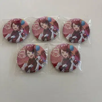 리이누 아레나 투어 2023 깃발 든 캔뱃지 묶음 판매