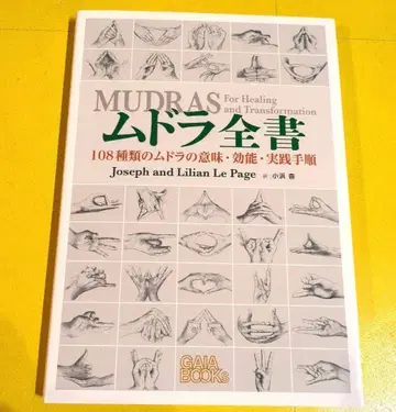 무드라 전서 요가 인 밀교 명상