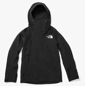 THE NORTH FACE GORE-TEX 마운틴 다운 자켓