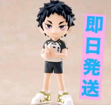 PalVerse 파르버스 하이큐!! vol.2 아카아시 케이지 피규어 5